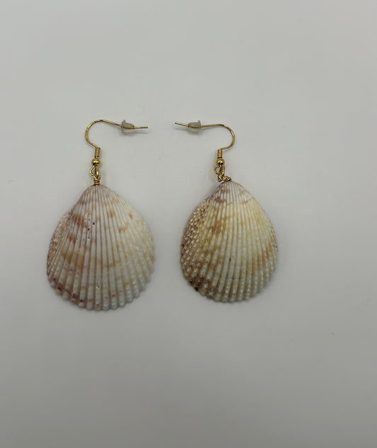 Large Cockle Seashell Earrings