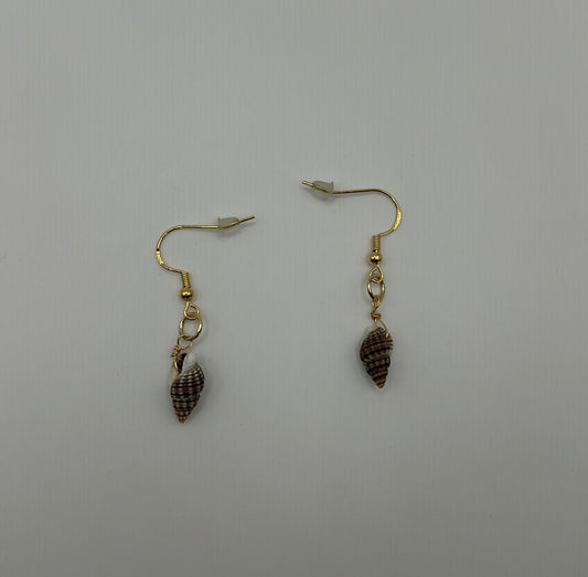 Dark Seashell Earrings